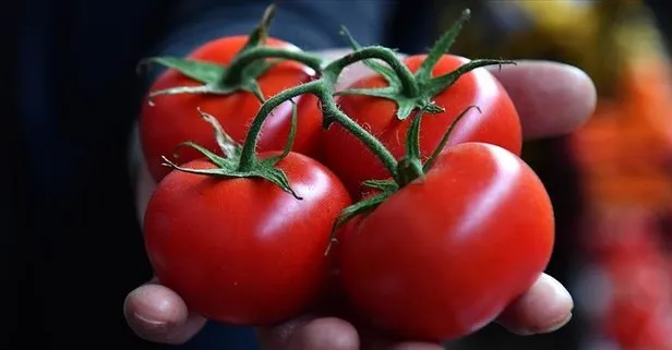 İstanbullular 2023’te en çok domates ve karpuz tüketti