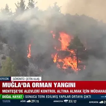 Muğla’da orman yangını! Ekiplerin müdahalesi devam ediyor