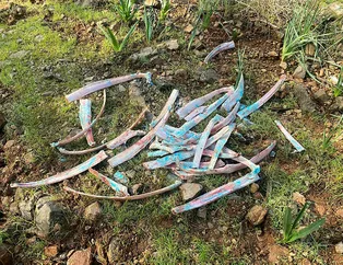 Kentte ’zehirli kemik’ paniği!