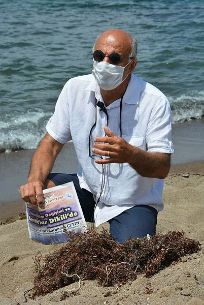 dikili-kiyilarinda-bozuk-yumurta-kokulu-yosun-uyarisi-ekosisteme-ve-turizme-buyuk-zarari-var-1623591695869.jpg Müsilajdan sonra 'bozuk yumurta kokulu yosun' uyarısı! Turizme ve ekosisteme zararı büyük-3