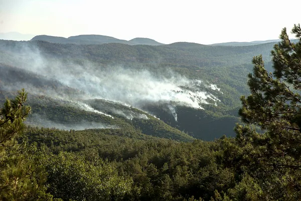 milastaki-orman-yanginina-rus-ucaginin-40-ton-suyla-mudahalesi-ihayla-goruntulendi-1628492372170.jpg Milas'taki orman yangınına Rus uçağının 40 ton suyla müdahalesi İHA'yla görüntülendi-3
