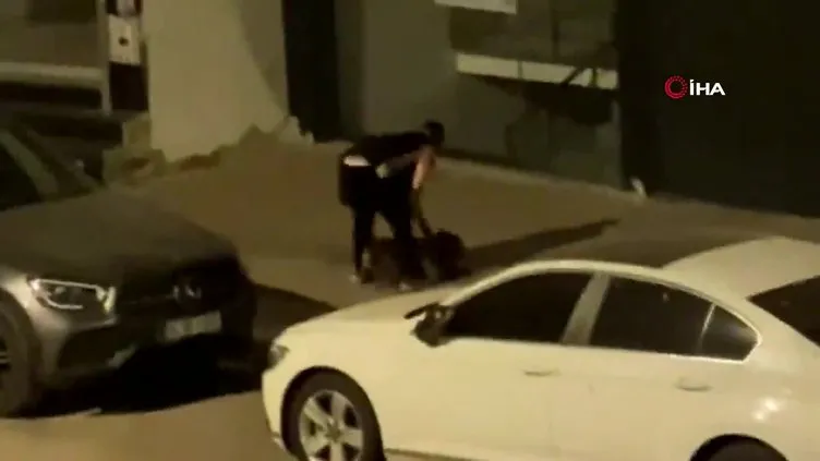 Zeytinburnu’nda akıllara durgunluk veren olay kamerada: Ağızlıksız gezdirilen Pitbull kediye saldırdı