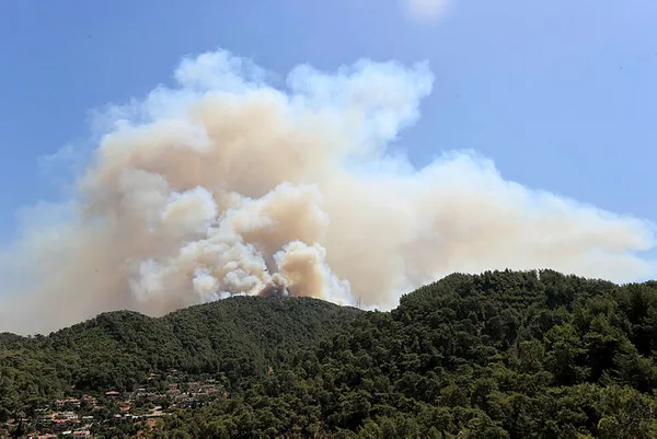 turkiye-orman-yangin-haritasi-turkiye-orman-yanginlari-hangi-illerde-yangin-olan-iller-1627883809244.jpg 3 Ağustos Türkiye orman yangınları hangi illerde? Yangın olan iller! Türkiye orman yangın haritası!-3