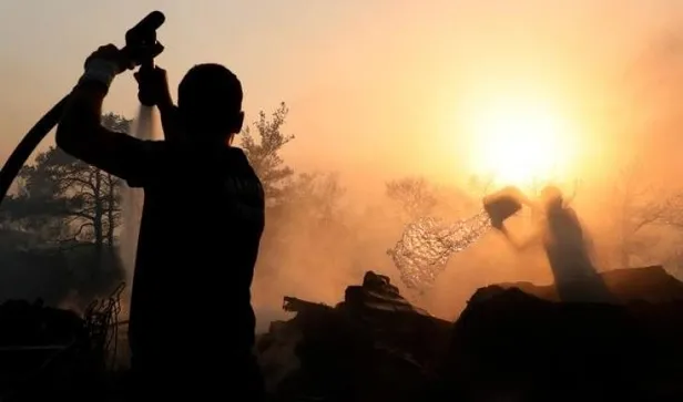 hukumetten-ciftcileri-sevindiren-yenilik-hasat-sigortasi-basladi-primler-artti-1642120328927.jpeg Hükümetten çiftçileri sevindiren yenilik! Hasat sigortası başladı-13