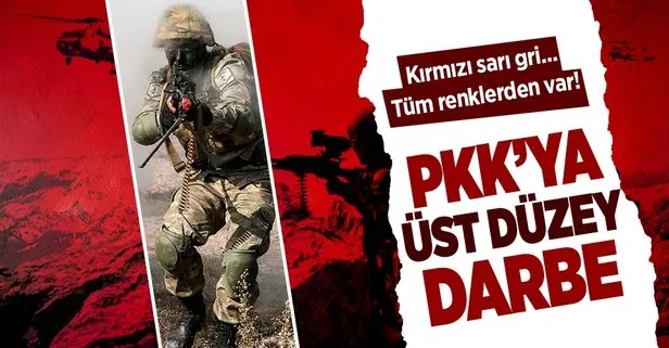 Kırmızı sarı gri... Tüm renklerden var! PKK’ya can çekiştiren üst düzey darbe: 792 terörist etkisiz