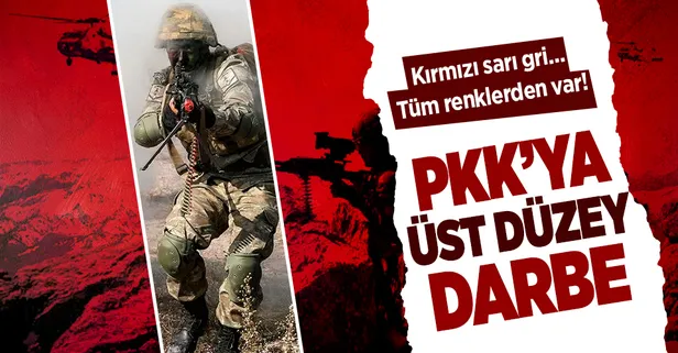 Kırmızı sarı gri... Tüm renklerden var! PKK'ya can çekiştiren üst düzey darbe: 792 terörist etkisiz
