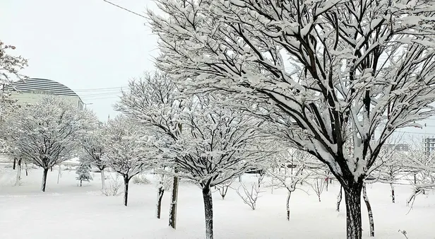 21-aralik-sali-adanada-okullar-tatil-mi-yarin-adanada-kar-tatili-var-mi-son-dakika-adana-valiligi-kar-tatili-aciklamasi-1639999947143.jpg Yarın Adana'da kar tatili var mı? 22 Aralık Çarşamba Adana'da okullar tatil mi? Son dakika Adana Valiliği kar tatili açıklaması!-4