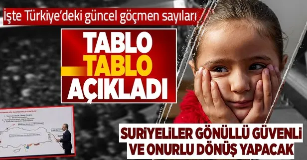 İçişleri Bakan Yardımcısı İsmail Çataklı Türkiye’deki sığınmacıları ve gidenlerin sayısını açıkladı