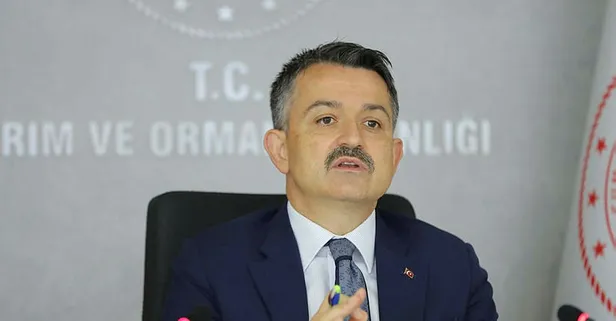 Bakan Pakdemirli'den yangın açıklaması