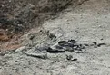Suriye'den Şanlıurfa'ya havan mermisi atıldı! Havan mermisi Suruç'a düştü