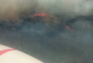 İzmir’de korkutan orman yangını!