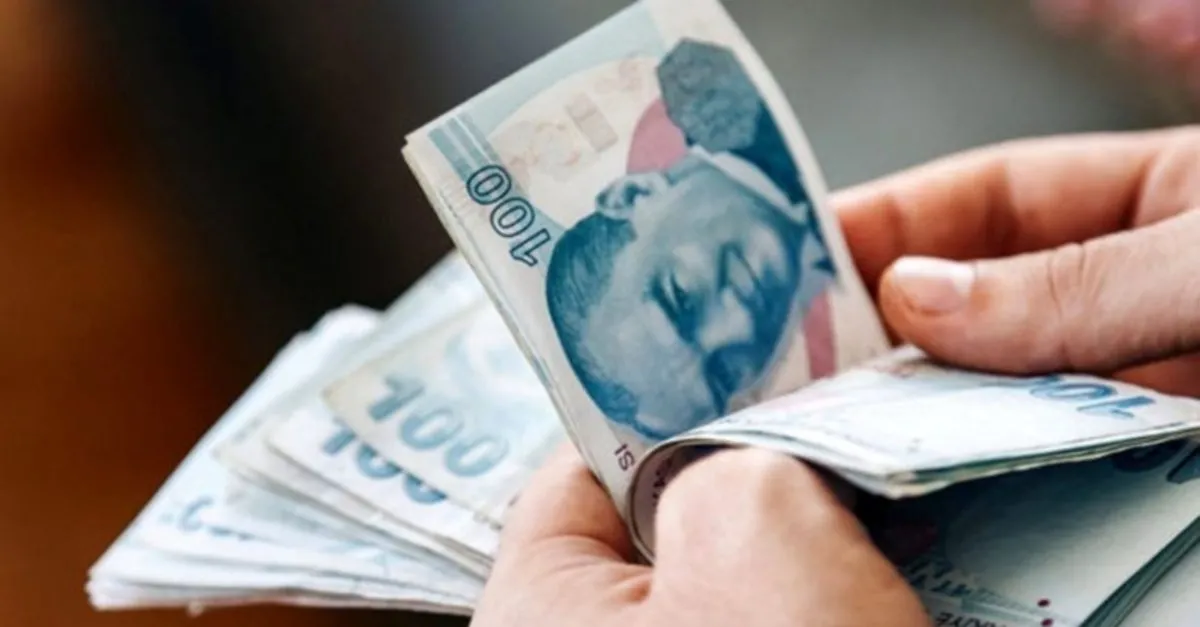 13 subat evde bakim maasi yatan iller evde bakim parasi hangi illerde yatirildi takvim