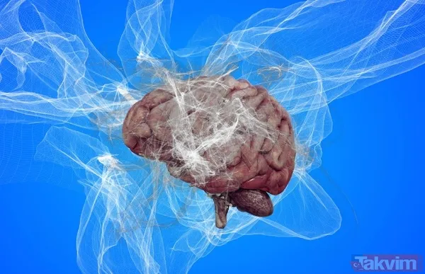 Kimler Risk Altında? Yaşlanma Süreci, B12 Vitamininin Emilimini Doğrudan Etkileyen Biyolojik Değişimleri Beraberinde Getiriyor. Beslenme Uzmanı Ian Marber, 55...