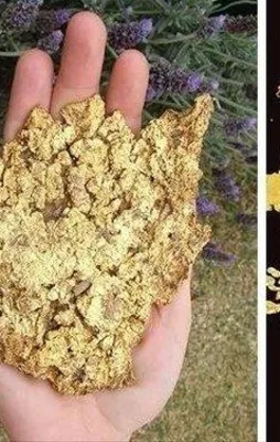 Evinin yakınında buldu! Bir anda servete kondu