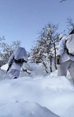 Mehmetçik'ten PKK'ya ağır darbe