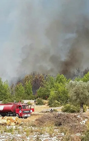 Son dakika: Antalya'da orman yangını