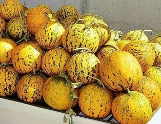 Gözler için kavun