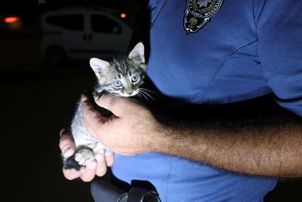 Polis aracın motoruna sıkışan yavru kediyi kurtardı-1