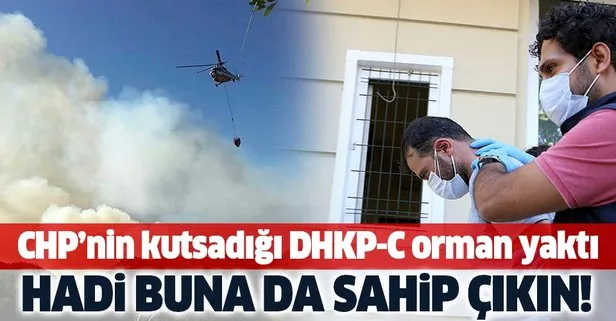 CHP’nin sahip çıktığı DHKP-C, İstanbul’da orman yaktı