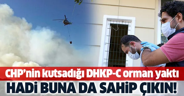 CHP'nin sahip çıktığı DHKP-C, İstanbul'da orman yaktı