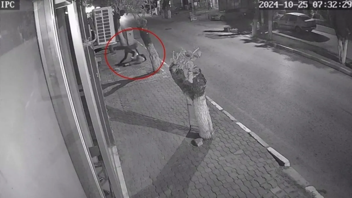 İzmir'de genç kıza bıçaklı saldırı davasında ara karar: Şüpheli tahliye edildi