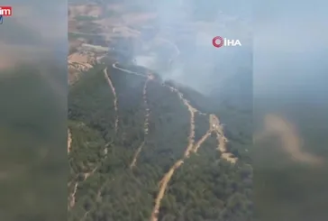 Manisa'da orman yangınına havadan ve karadan müdahale