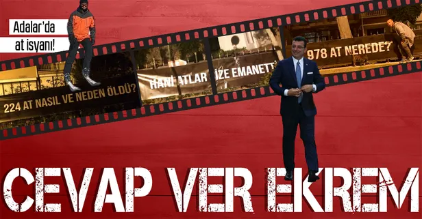 Adalar'da CHP'li İBB'ye at isyanı! Ekrem İmamoğlu yönetimine pankartlı tepki: 978 at nerede?