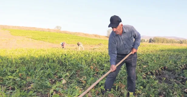 Tarımda ihracat rekoru! 36.4 milyar dolar