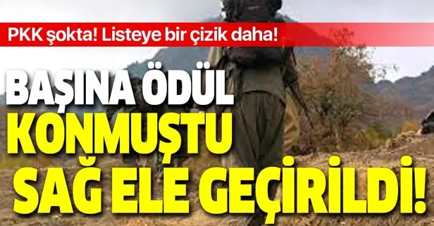 Son dakika: PKK’ya büyük şok! Başına ödül konmuştu! Turuncu kategoride aranan Heba Rodi sağ ele geçirildi