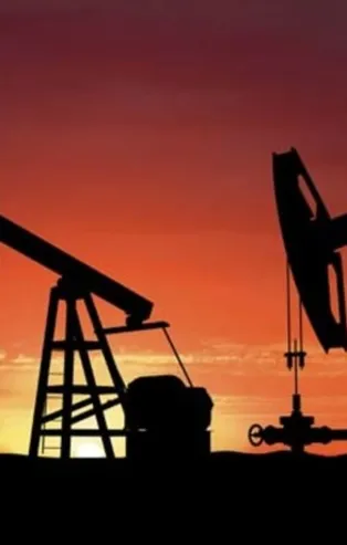 TPAO'nun Adana'da petrol arama ruhsat başvurusu kabul edildi