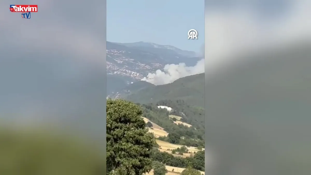Bursa Balıkesir sınırında orman yangını!