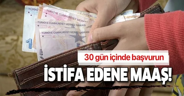 İstifa edene maaş verilecek! İşte başvuru şartları