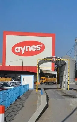 Aynes'e FETÖ operasyonu