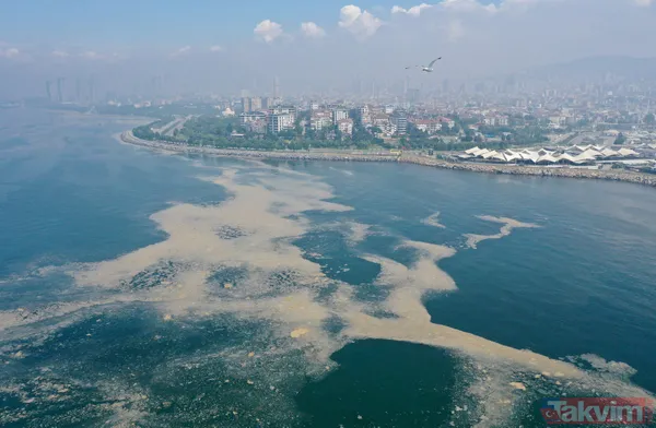 SON DAKİKA: Marmara Denizi için büyük tehlike! Deniz hala soğumadı müsilaj tehlikesi devam ediyor - 10