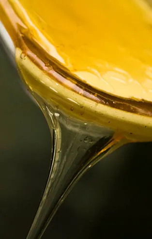 Rüyada bal görmek ne anlama gelir?