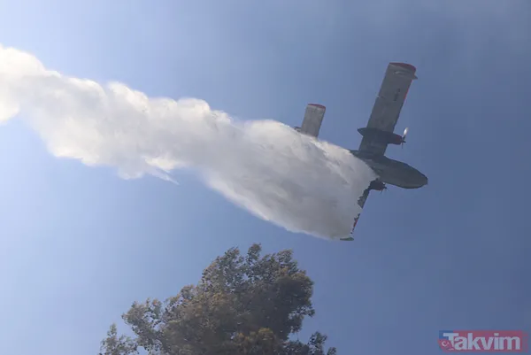 Bodrum'da orman yangını! "2024 yılının en ciddi yangınlarındandı" Kontrol altına alındı - 5