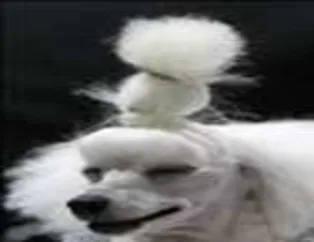 Muhteşem kareler - 72