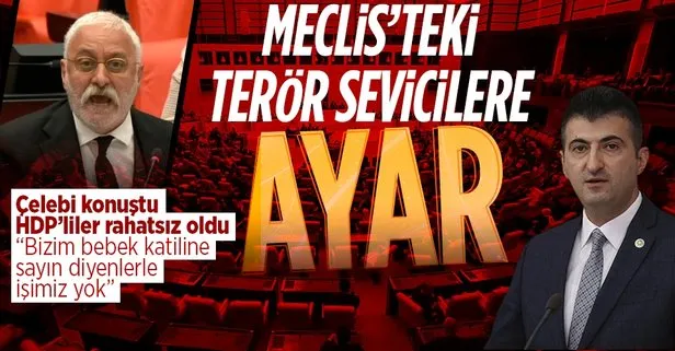 AK Partili Çelebi’den Meclis’te HDP sıralarına ayar: Bizim bebek katiline sayın diyenlerle işimiz yok