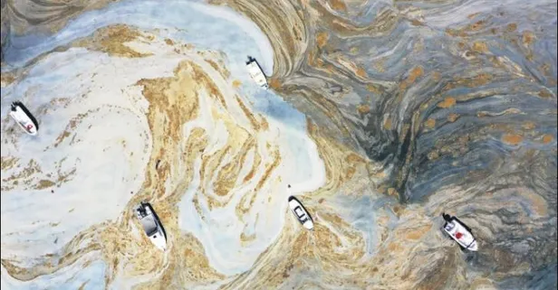 Büyük korku yerini mutluluğa bıraktı: Marmara Denizi'ni 'felaket' hale getiren müsilaj temizlendi