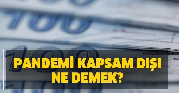 Pandemi kapsam dışı ne demek? 1000 TL yardım parası kapsam dışı ne anlama geliyor?