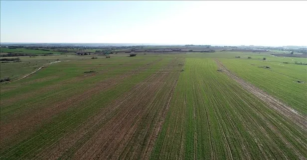 Atıl kalan arazi kiraya verilecek