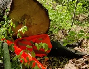 Kestiği ağacın altında öldü!