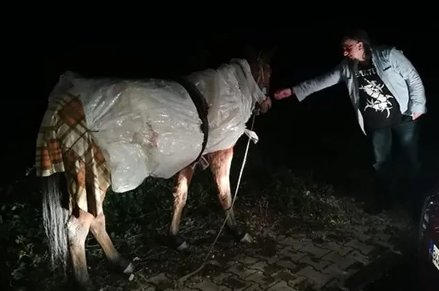 Bursa'da çok ilginç görüntü! Atın donmaması için...