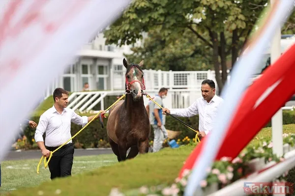 14 at toplamda 4 milyon 640 bin liraya satıldı - 14