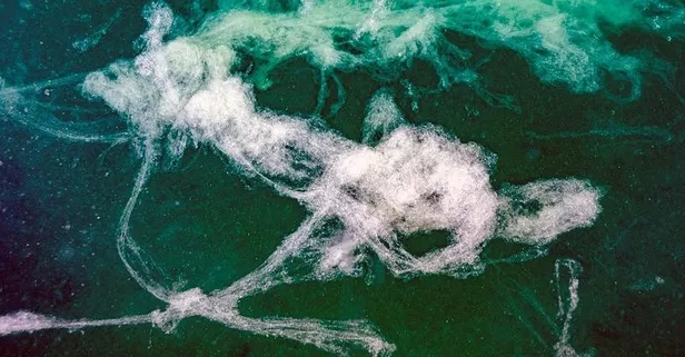 Marmara'ya kıyı 7 belediyeye müsilaj uyarısı: İleri Biyolojik Atık Su Tesislerini bir an önce hayata geçirin