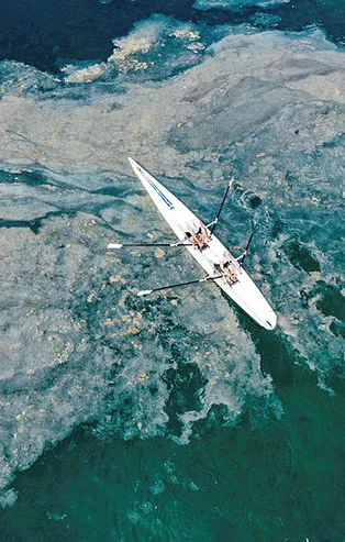 Marmara'da müsilaj seferberliğinde flaş gelişme! Balık avı yasaklanacak mı?