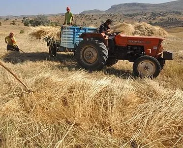 Çiftçiye sigorta geliyor