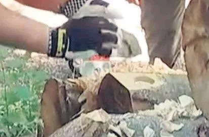 1951 sonrası gelen enflasyon rakamları Almanya’yı sokağa döktü!-7