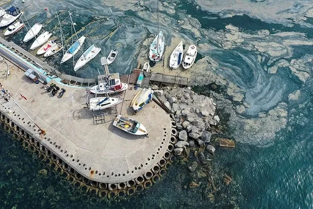 Deniz salyası için bilim kurulu oluşturuldu! Başkanlık görevi Prof. Dr. Hasan Mandal’a verildi