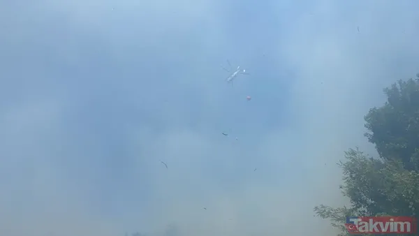 SON DAKİKA: Muğla Dalaman'da yangın! 24 saat geçmeden alevler yeniden yükseldi - 15